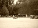Photo 122_ballon * 500 x 375 * (57KB)